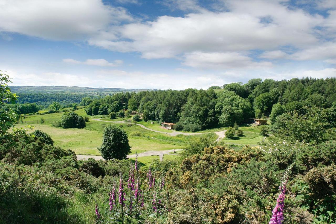 ריצ'מונד Yorkshire Dales Lodge 4 Family 3 Bed מראה חיצוני תמונה
